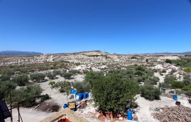 Resale - Villa - Albudeite - Inland
