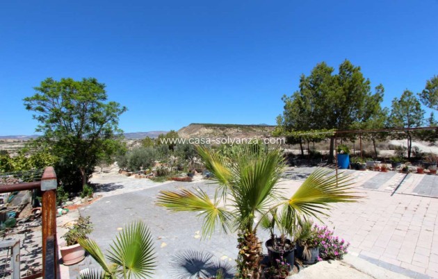 Resale - Villa - Albudeite - Inland