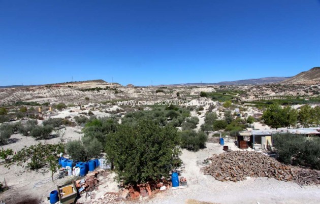 Resale - Villa - Albudeite - Inland