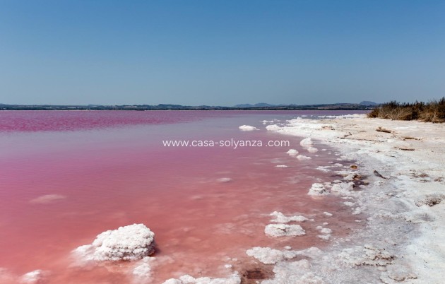 Revente - Maison de ville - Torrevieja - Paraje Natural