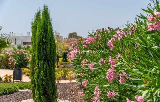 Nouvelle construction - Maison de ville - Orihuela - Vistabella Golf