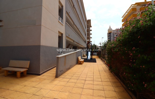 Herverkoop - Appartement / flat - Guardamar del Segura