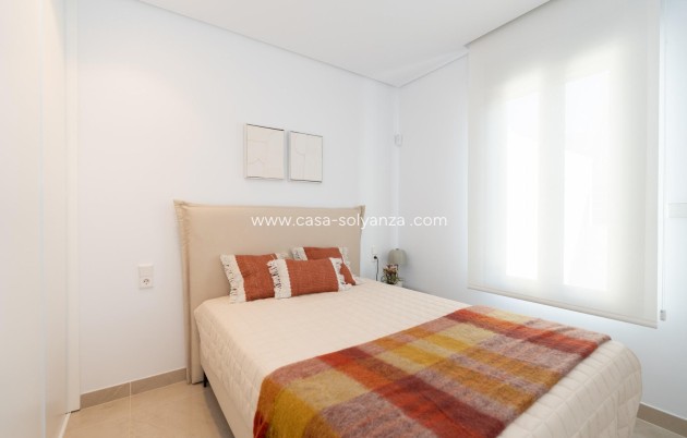 Neue Gebäude - Quad - Gran alacant