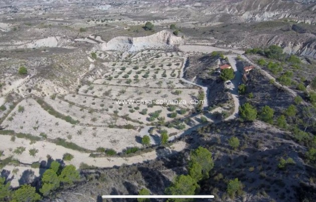 Revente - Maison de ville - Abanilla - El Partidor