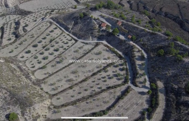 Revente - Maison de ville - Abanilla - El Partidor