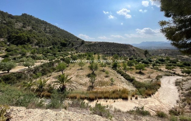 Revente - Maison de ville - Abanilla - El Partidor