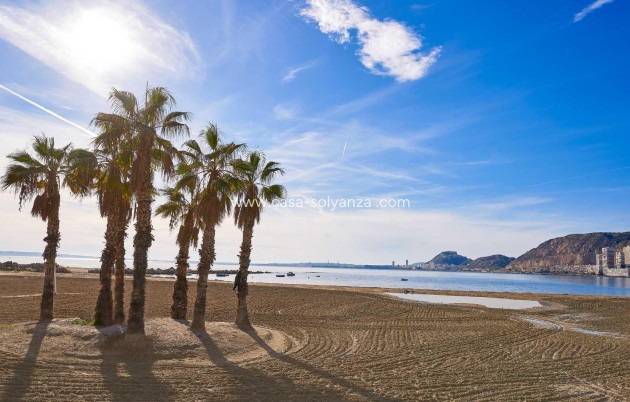 Nouvelle construction - Villa - Els Poblets - Partida Barranquets