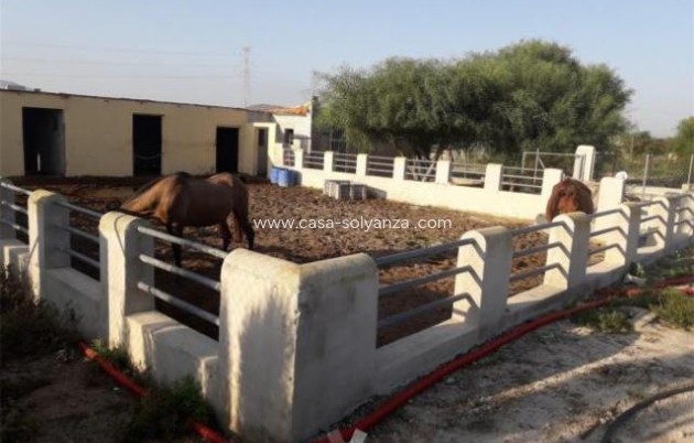 Revente - Villa - La Matanza - Inland