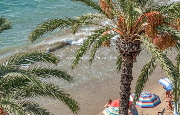 Wiederverkauf - Wohnung - Torrevieja