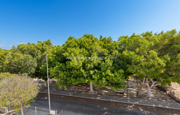 New Build - Villa - Pilar de la Horadada