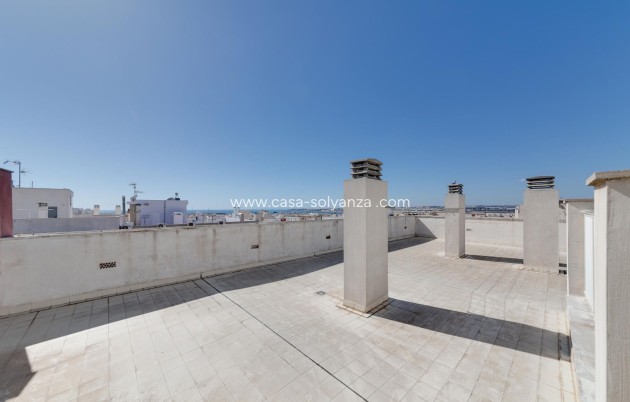Revente - Appartement - Torrevieja - Centro - Muelle Pesquero