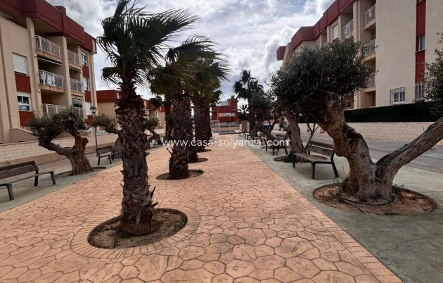 Nouvelle construction - Appartement - Orihuela