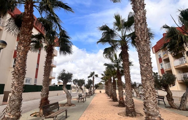 Nieuwbouw Woningen - Appartement / flat - Orihuela