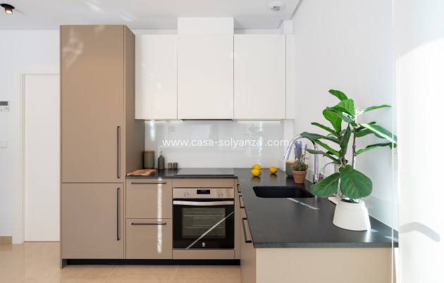 Neue Gebäude - Stadthaus - Elche