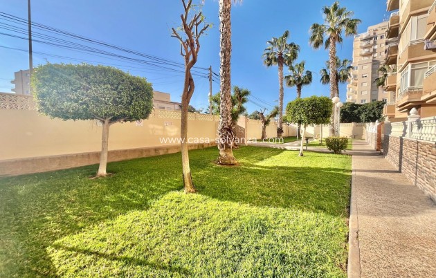 Resale - Apartment / flat - Torrevieja - Calas Blanca