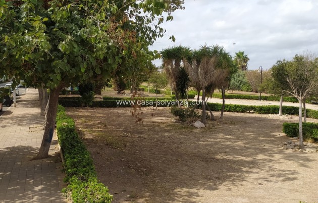 Revente - Appartement - Torrevieja - LOS NAUFRAGOS PLAYA