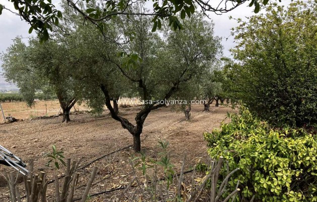 Revente - Villa - Biar - Costa Blanca