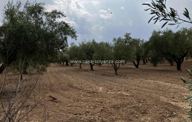 Revente - Villa - Biar - Costa Blanca