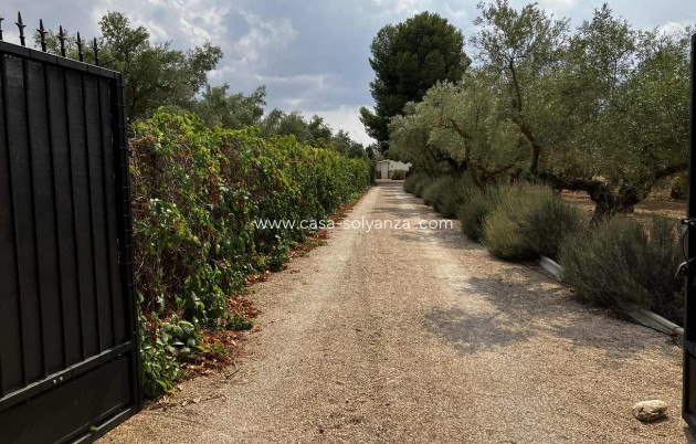 Revente - Villa - Biar - Costa Blanca