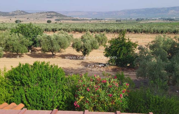 Revente - Villa - Biar - Costa Blanca