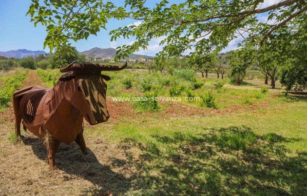 Revente - Villa - Senija - Inland