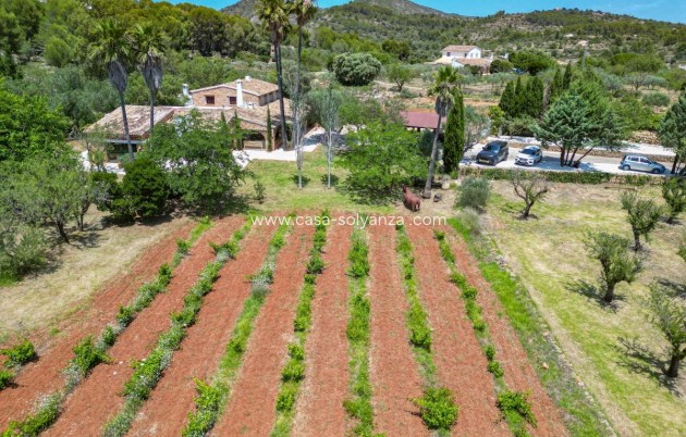 Revente - Villa - Senija - Inland