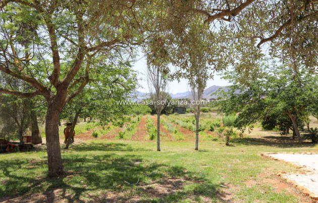 Revente - Villa - Senija - Inland