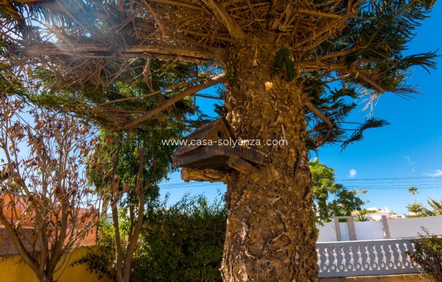 Revente - Villa - La Siesta - Costa Blanca