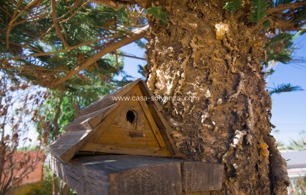 Revente - Villa - La Siesta - Costa Blanca