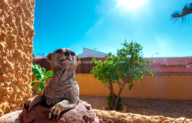 Revente - Villa - La Siesta - Costa Blanca