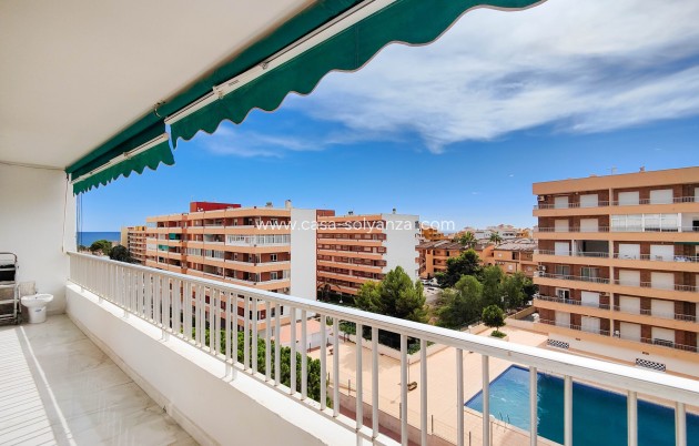Revente - Appartement - Torrevieja - Costa Blanca