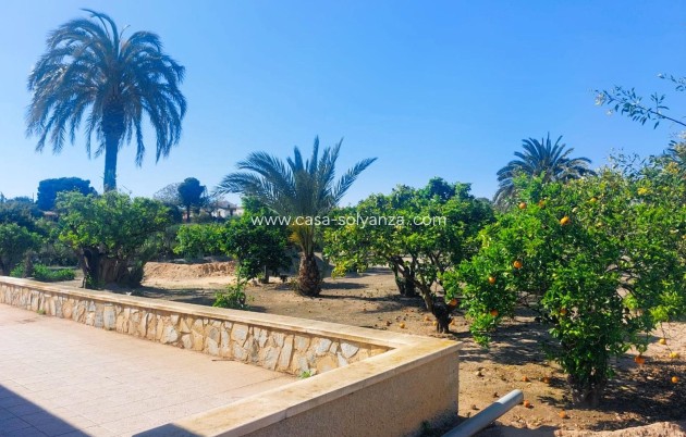 Revente - Country Property/Finca - La Marina - Costa Blanca