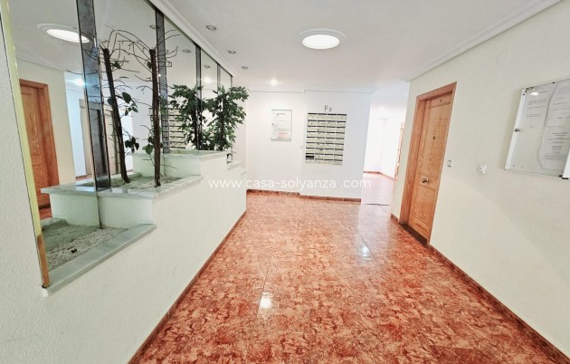 Revente - Appartement - Torrevieja - Estacion Autobuses