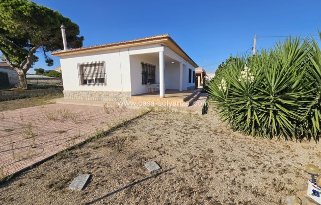 Revente - Country Property/Finca - Guardamar del Segura - Buenavista