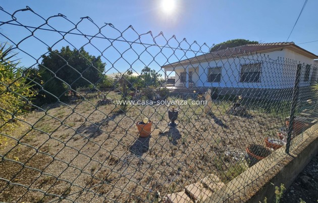 Revente - Country Property/Finca - Guardamar del Segura - Buenavista