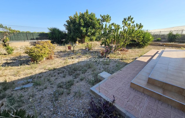 Revente - Country Property/Finca - Guardamar del Segura - Buenavista
