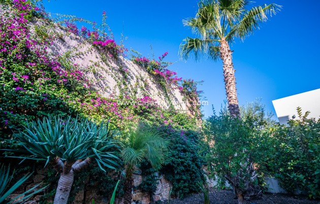 Revente - Villa - Algorfa - Inland