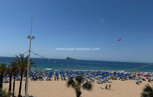Revente - Appartement - Benidorm - Costa Blanca