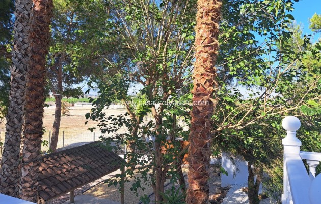 Revente - Country Property/Finca - Orihuela - Inland