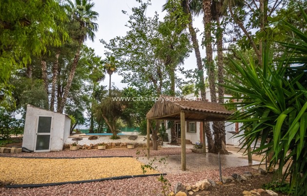 Revente - Country Property/Finca - Orihuela - Inland