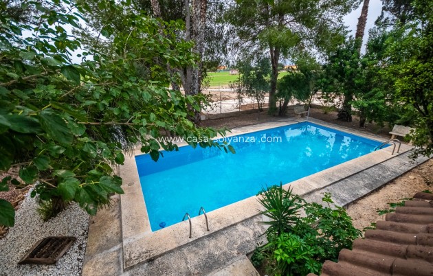 Revente - Country Property/Finca - Orihuela - Inland