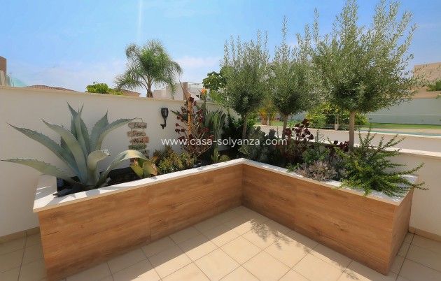 Revente - Appartement - Pilar de la Horadada - Costa Blanca