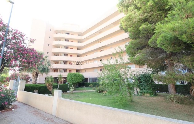 Revente - Commercial - Orihuela Costa - Costa Blanca