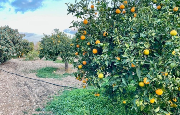 Revente - Villa - Benidorm - Salto Del Agua