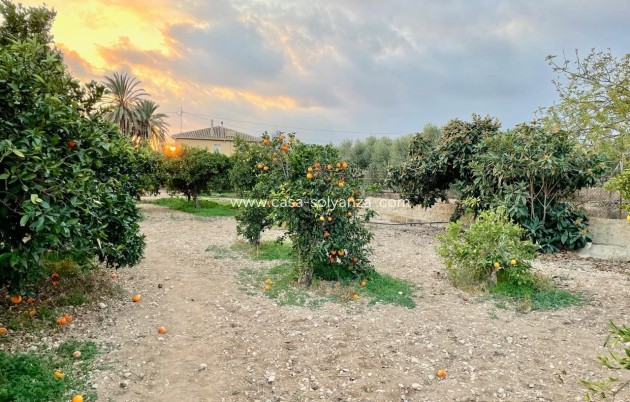 Revente - Villa - Benidorm - Salto Del Agua