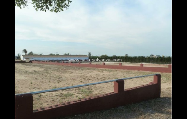 Revente - Land - San Miguel de Salinas - Inland