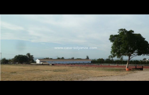 Revente - Land - San Miguel de Salinas - Inland