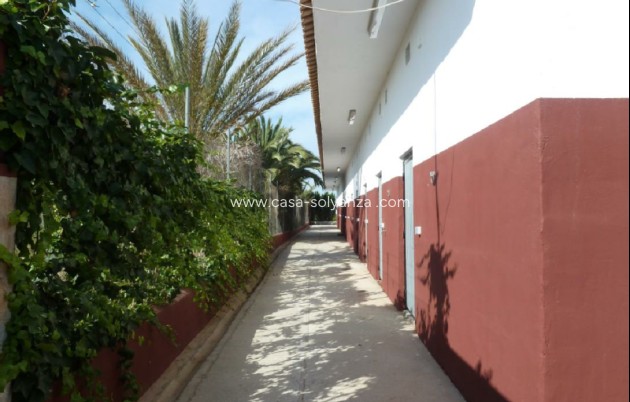 Revente - Land - San Miguel de Salinas - Inland