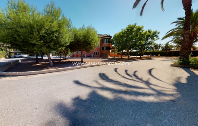 Revente - Villa - Elche - Costa Blanca