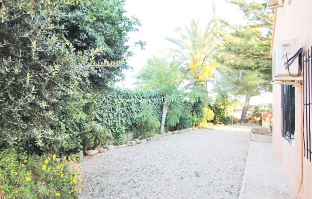 Revente - Country Property/Finca - Almoradí - Comunidad Valenciana